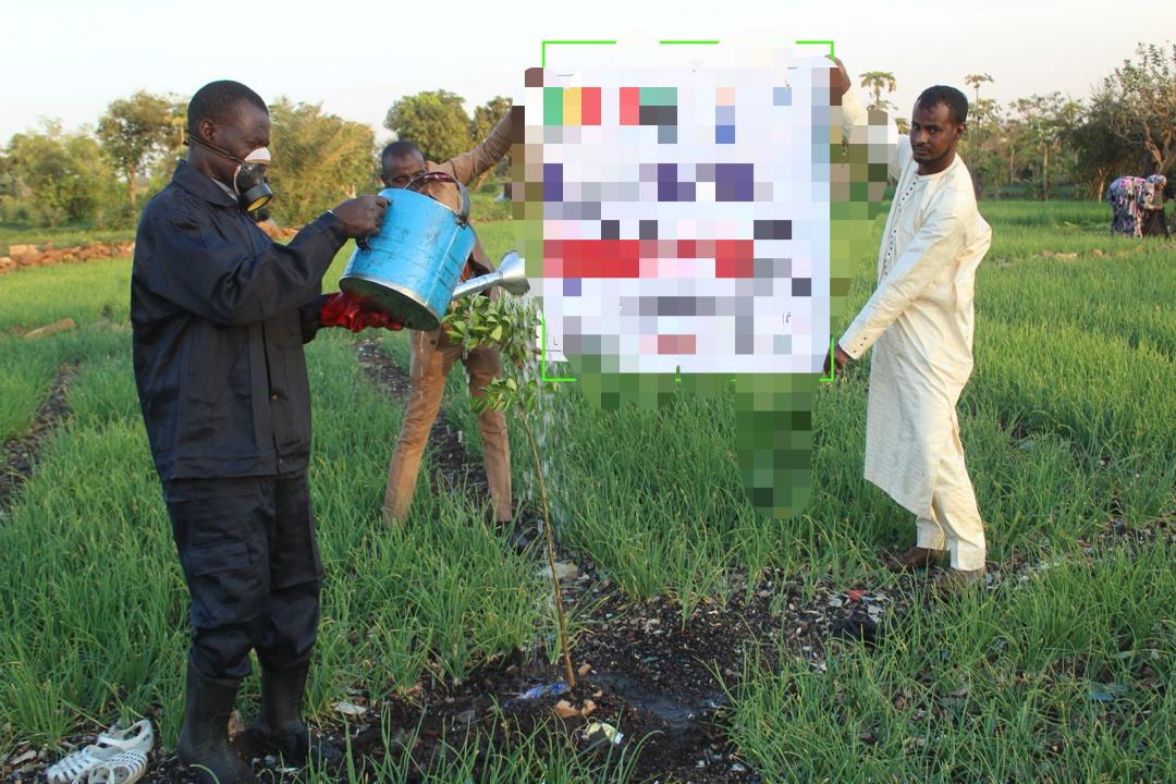 مزرعة - مالي